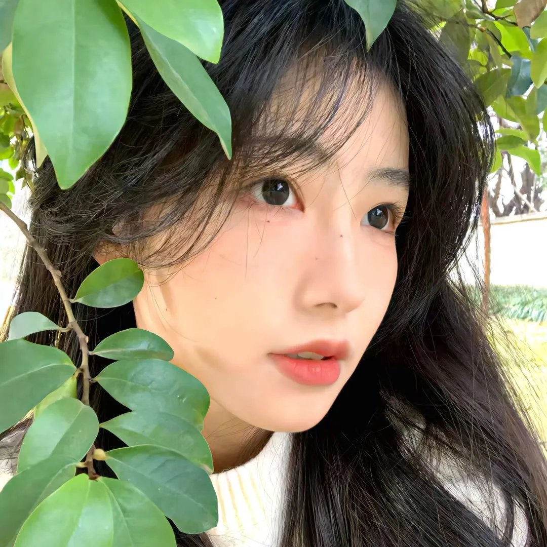 我的小公主